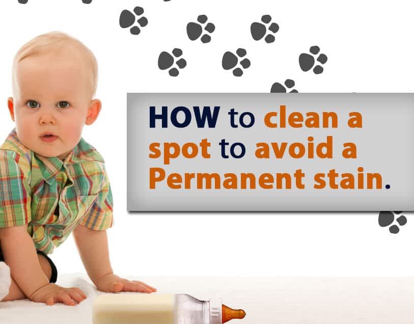 Stain Removal