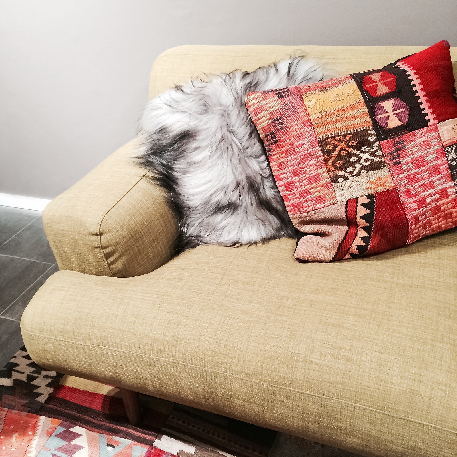 residential upholstery cleaning services in norfolk va