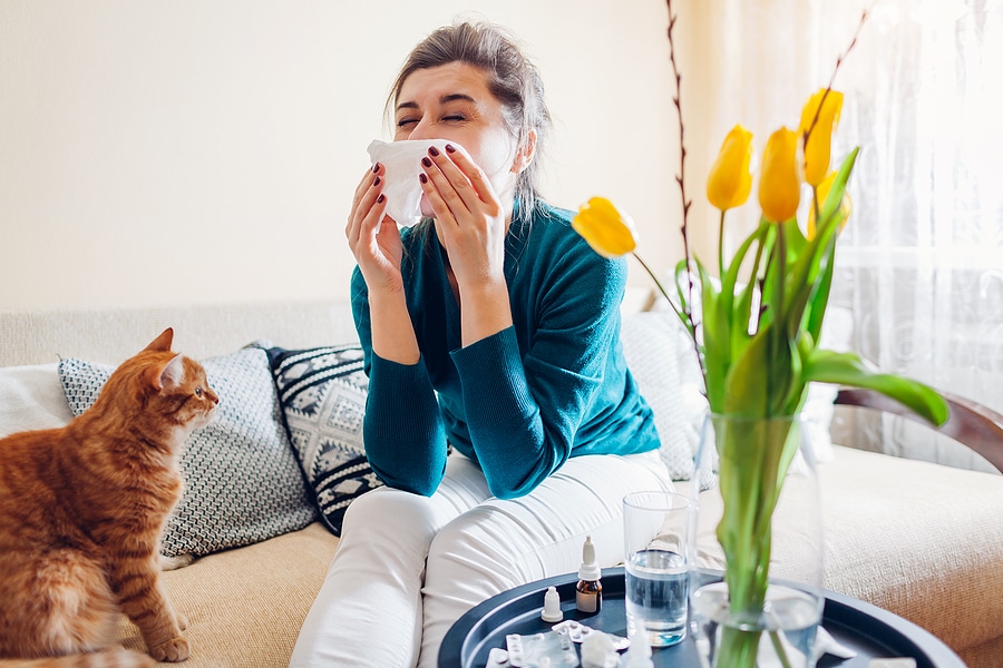 Can Professional Rug Cleaning Reduce Indoor Allergens?